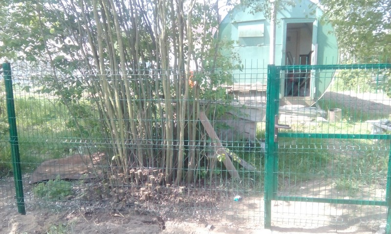 Бытовые услуги в Минске