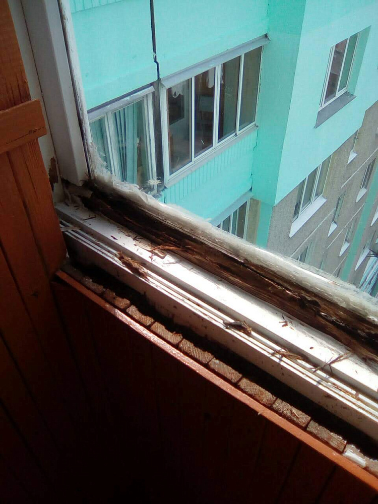 Бытовые услуги в Минске